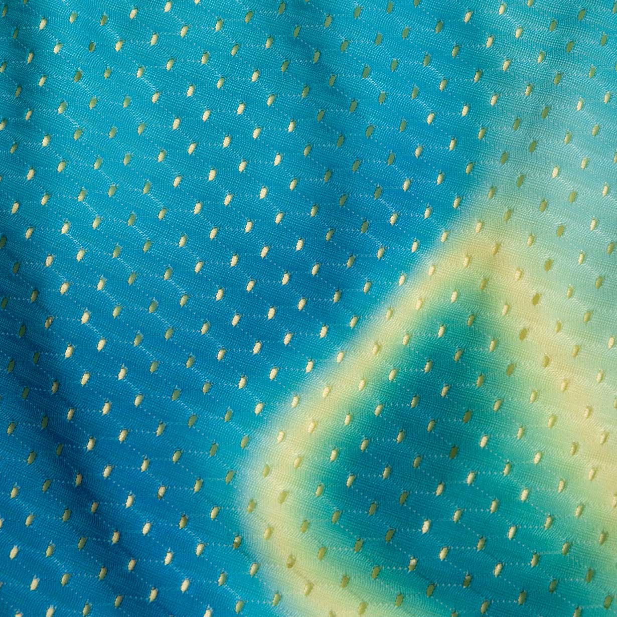 Holo Mesh Lounge Short