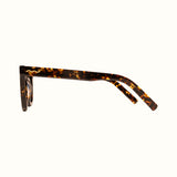Leisure Unisex Sunglasses - Brown Tortoise / Grey