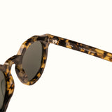 Seeker Unisex Sunglasses - Tortoise / Green