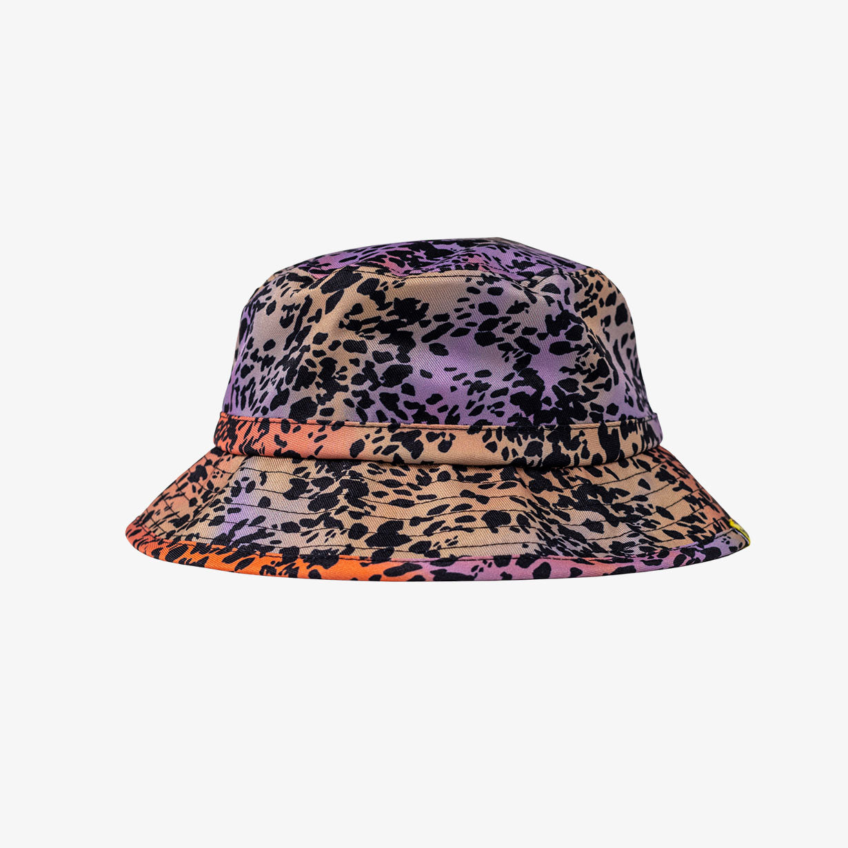 Wildcat Bucket Hat